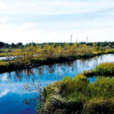 peatland-pond-windmill-1-1280×1080