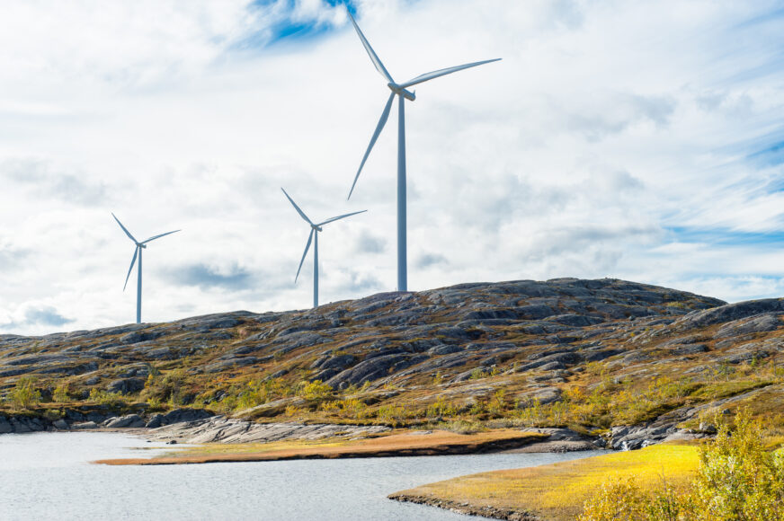 Wind turbines in a wind powered renewable energy production plant
